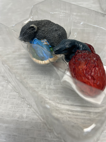 ガメラ・ガッパ・ギララ特撮大百科ver.1 大怪獣総集結