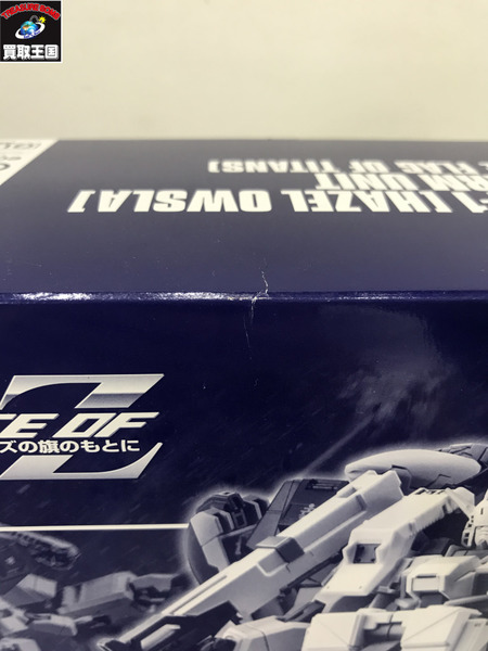 HG 1/144 ガンダムTR-1
