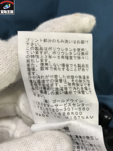 THE NORTH FACE マウンテンパーカ MOUNTAIN JACKET/GORE-TEX/S　NP61800