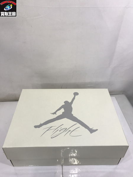 NIKE スニーカー AIR JORDAN RETRO SP 29cm