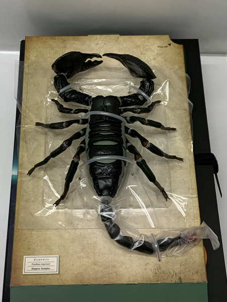 海洋堂 リボジオ ダイオウサソリ 開封品 KAIYODO REVOGEO リボルテック ジオ 全地球立体生物目録 節足動物 大王蠍 