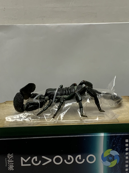海洋堂 リボジオ ダイオウサソリ 開封品 KAIYODO REVOGEO リボルテック ジオ 全地球立体生物目録 節足動物 大王蠍 