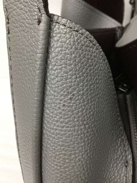 COACH　ハンドバッグ ハドリー/ホーボー/ハンドバッグ/79965