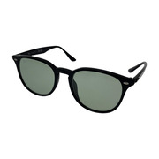 Ray-Ban ソノ他 RB4259-F サングラス 緑