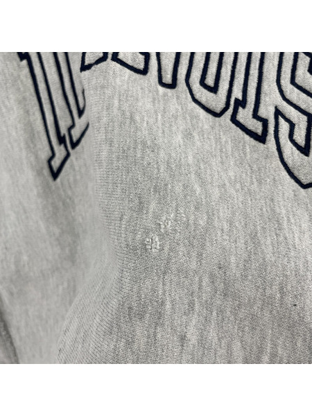 90s champion reverse weave ILL