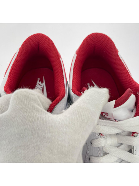 NIKE スニーカー BIG NIKE LOW 355152 150(28Cm)