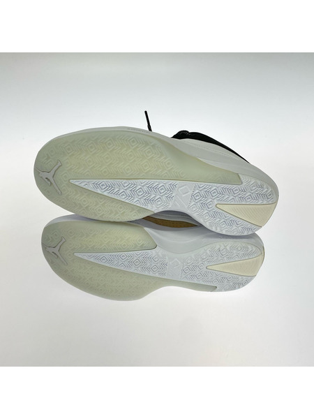 NIKE スニーカー AIR JORDAN 40 PF (27.0cm)