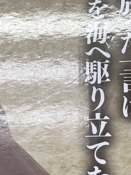 一番くじ ワンピース ロジャー海賊団　ラストワン[値下]