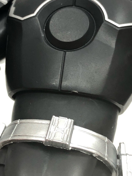 S.H.Figuarts 真骨彫製法 仮面ライダーオーズ サゴーゾコンボ