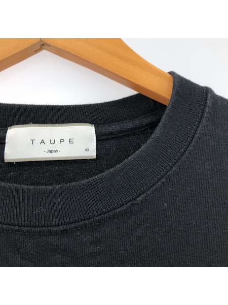 TAUPE/CKN CHEMICAK TEE/Tシャツ/ブラック
