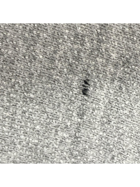 Champion パーカー 00s プレミアムリバースウィーブ 3段 スウェットパーカー