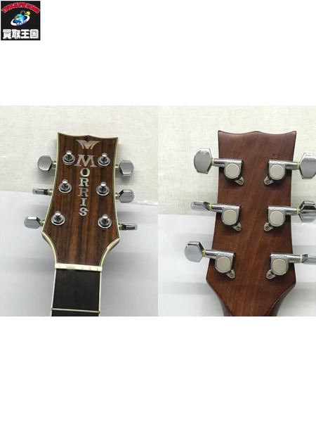 ギター モーリス mg-40