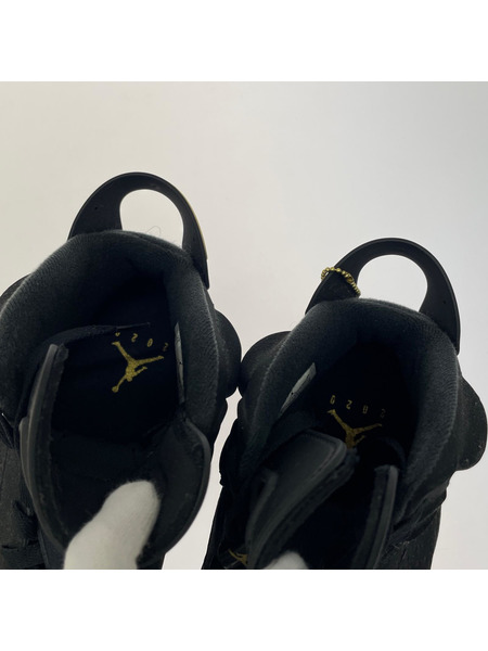 NIKE スニーカー Air Jordan 6 DMP