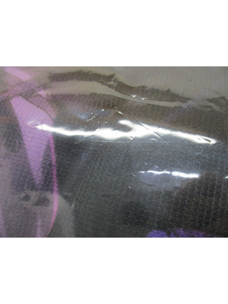 メーカー 美少女その他 アニエス＆レン タオルケット