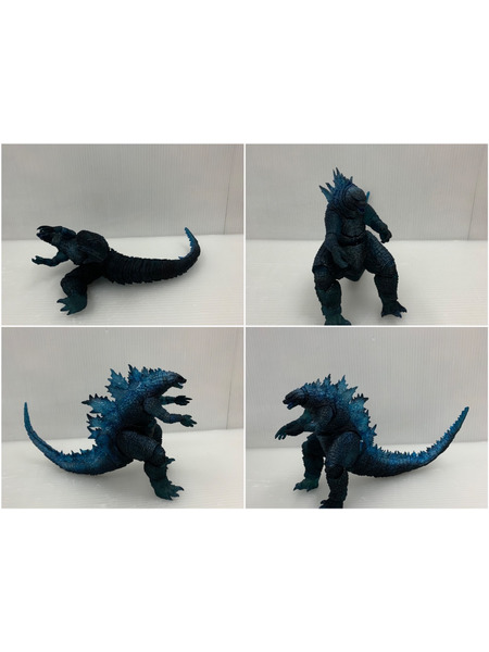 ゴジラ キング・オブ・モンスターズ 完全数量限定生産4枚組 S.H.