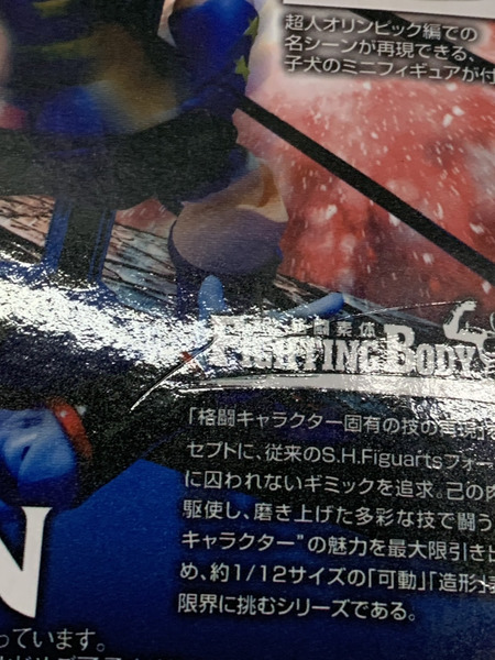 メーカー アニメ・コミックその他 キン肉マン S.H.FIguarts テリーマン