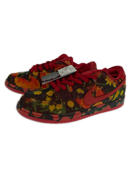 NIKE SB スニーカー THE WIZARD OF OZ/SB DUNK LOW