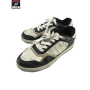 Dior オブリーク トロッター スニーカー 黒白 (43)