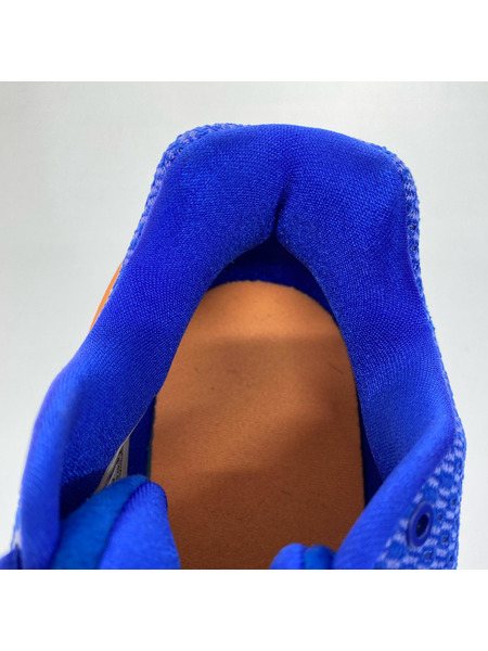 NIKE スニーカー HYPERDUNK 2017 LOW RACER BLUE 28.5cm[値下]