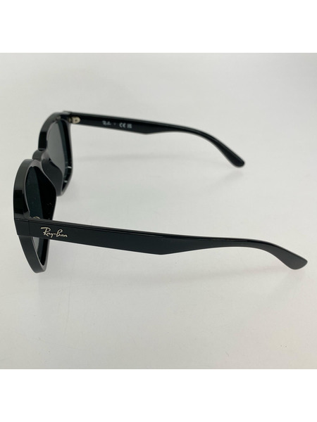Ray-Ban ソノ他 RB4392D/黒