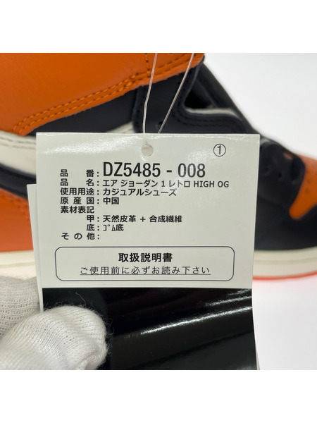 NIKE スニーカー Air Jordan 1 Retro High OG/DZ5485-008