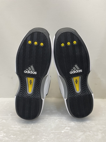 adidas Crazy 1 Storm Trooper 27.5 白 サイズ27.5 GY3810 ホワイト