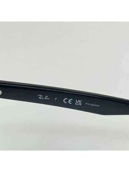Ray-Ban ソノ他 RB4391D