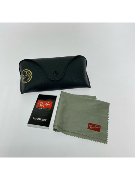 Ray-Ban ソノ他 RB4391D