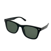 Ray-Ban ソノ他 RB4391D