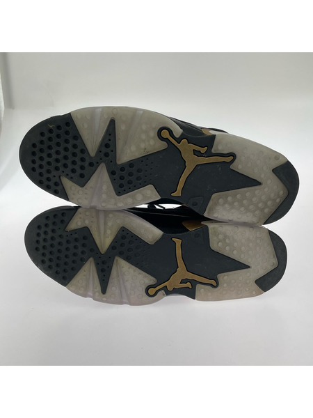 NIKE スニーカー AIR JORDAN 6 RETRO DMP CT4954-007 28.5cm
