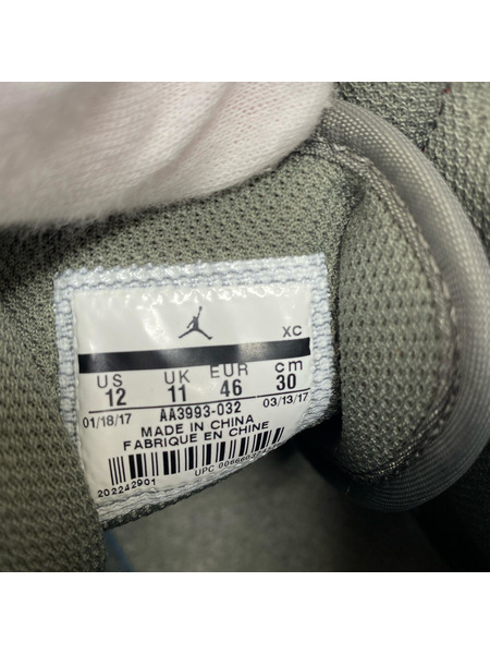 NIKE スニーカー DUNK HI RETRO (30) DD1399-500