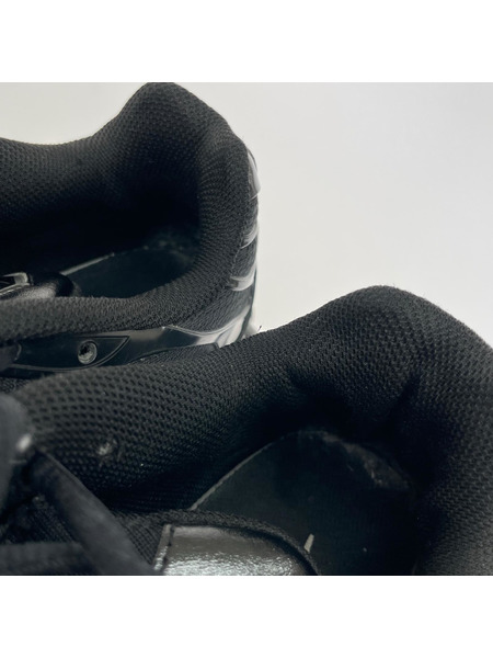 NIKE スニーカー AIR MAX PLUS BLK (29.0) 604133-050