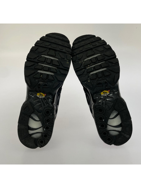 NIKE スニーカー AIR MAX PLUS BLK (29.0) 604133-050