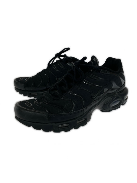 NIKE スニーカー AIR MAX PLUS BLK (29.0) 604133-050