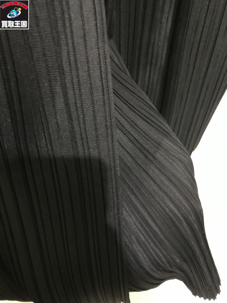 PLEATS PLEASE 06AW プリーツワイドパンツ　3