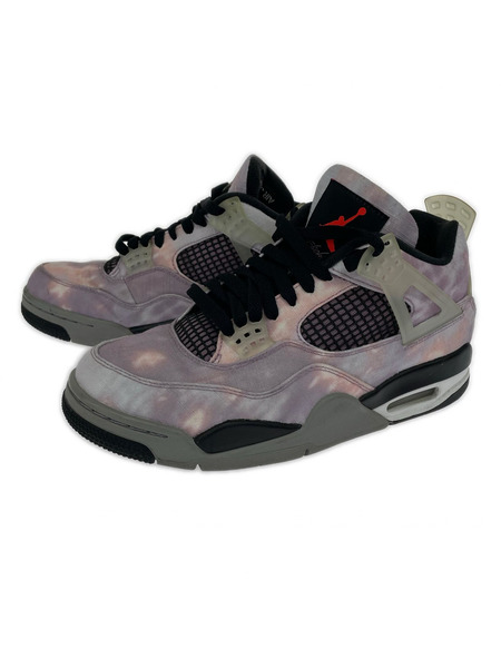 NIKE スニーカー AIR JORDAN Amethyst Wave (27.0㎝)