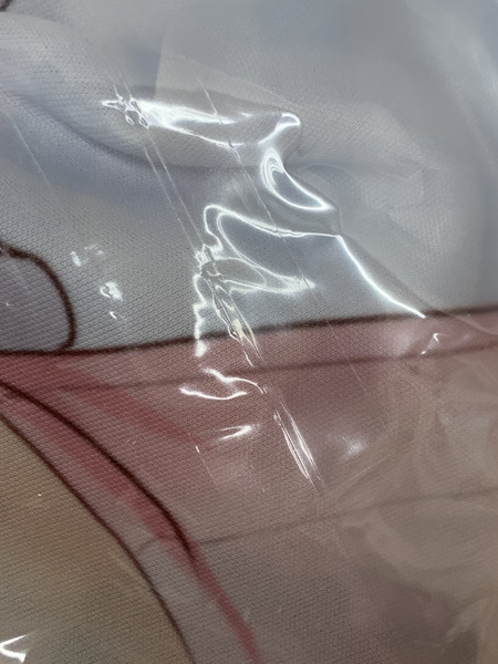 ぱん先生 ロングクッションカバー つきみ 未開封 [値下]