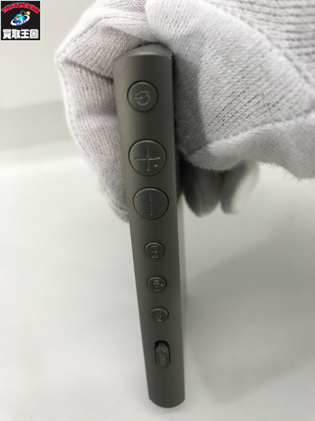 ソニー ウォークマン 16GB NW-A100シリーズ