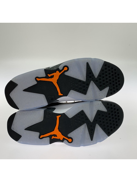 NIKE スニーカー Paris Saint Germain Air Jordan 6 Low