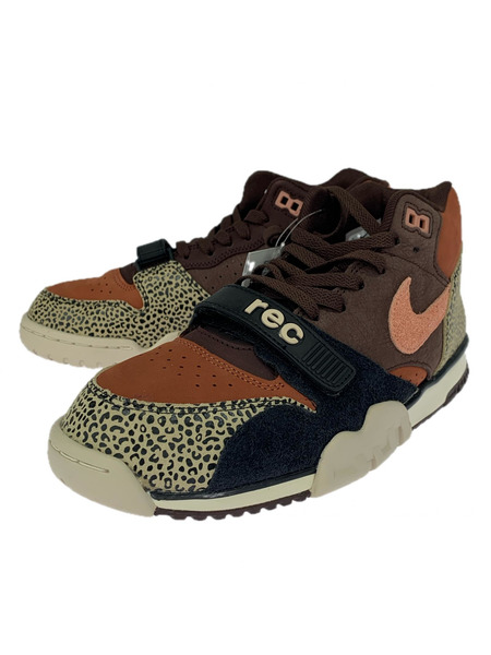 NIKE SB スニーカー × Arts Rec Air Trainer 1(27.5)[値下]