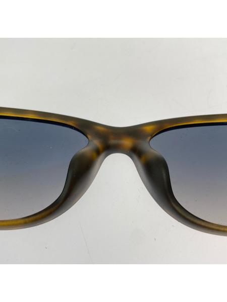 Ray-Ban ソノ他 NEW WAYFARER