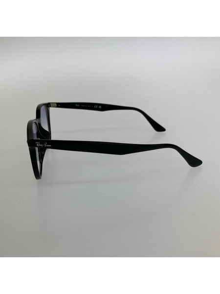 Ray-Ban ソノ他 RB 4258-F