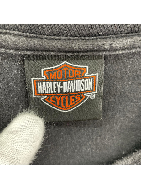 Harley-Davidson 半袖Tシャツ・カットソー ×LOONEY TUNES (XL)