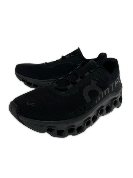 スニーカー on Cloudmonster 28cm