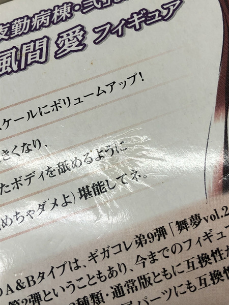 ギガパルス　夜勤病棟　風間愛