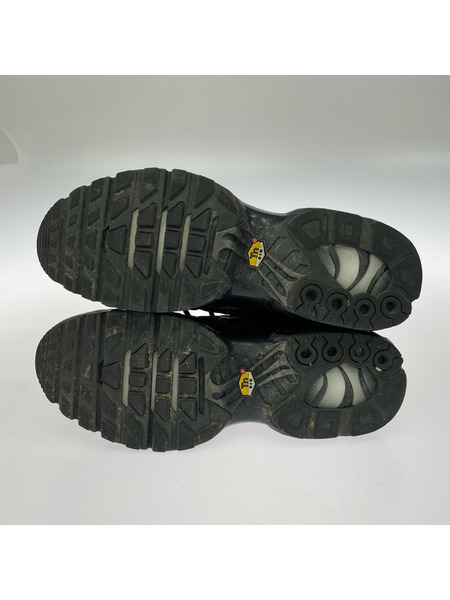 NIKE スニーカー AIR MAX PLUS 黒 (27㎝) 604133-050