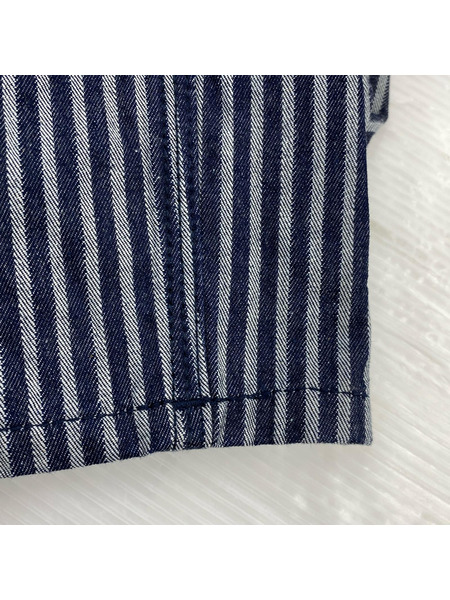 Lee × ARIES WORKWEAR STRIPE WHIZZIT OVERALL