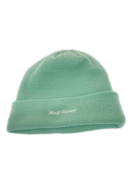 Supreme 17AW New Era Box Logo Beanie