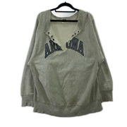 Champion スウェット・トレーナー 80s トリコタグ ARIZONA リメイク RW スウェット (XL)