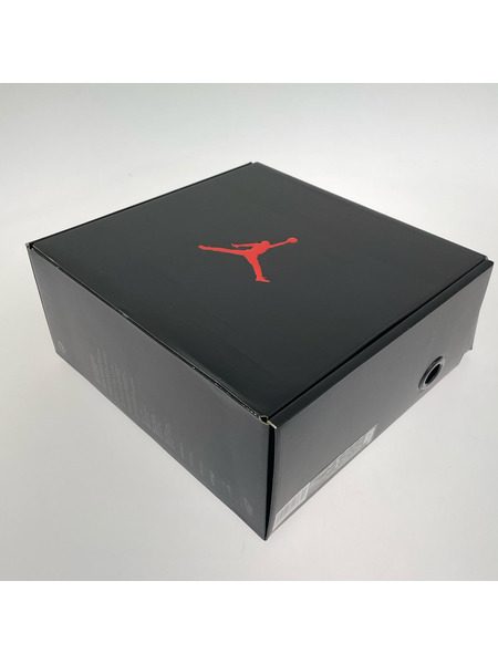 NIKE ソノ他 WMNS AIR JORDAN MULE SOFT PEARL 23cm